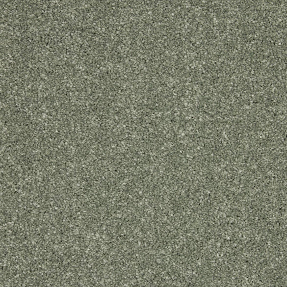 Inglewood Saxony - Willow