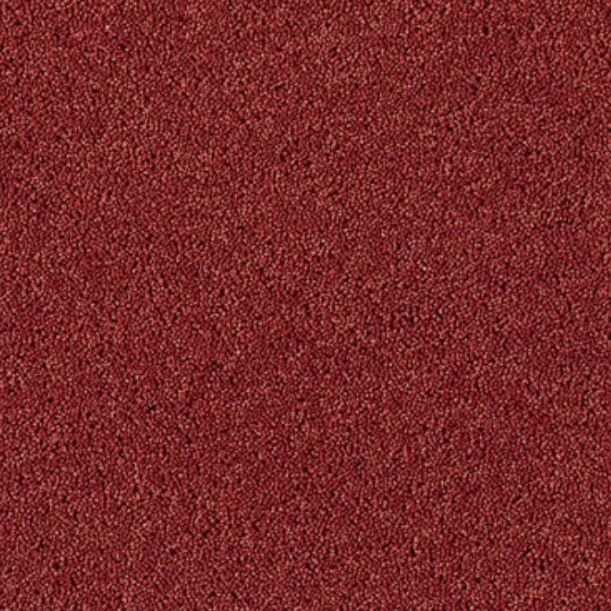 Bell Twist - Cajun Spice