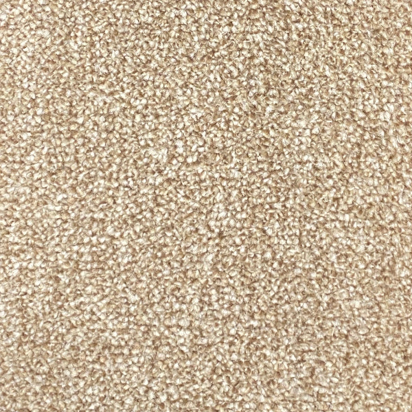 A close-up texture shot of a beige carpet | Carpetly 